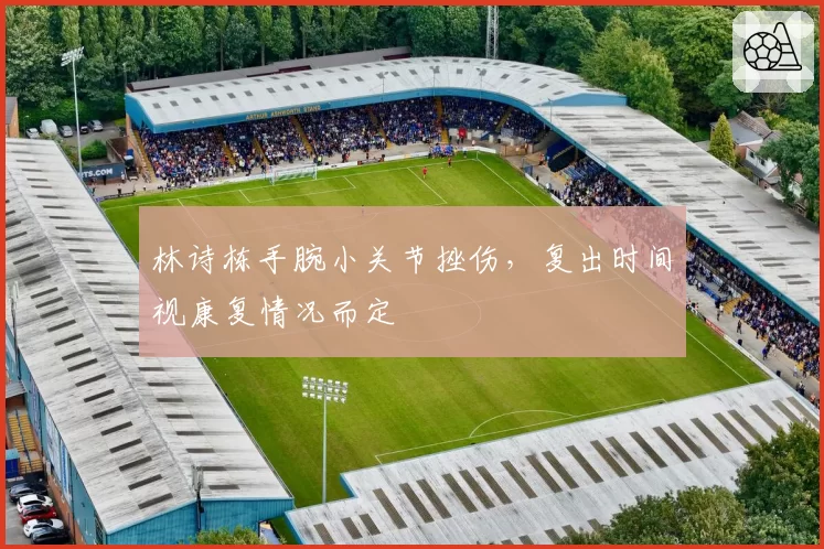 林诗栋手腕小关节挫伤，复出时间视康复情况而定