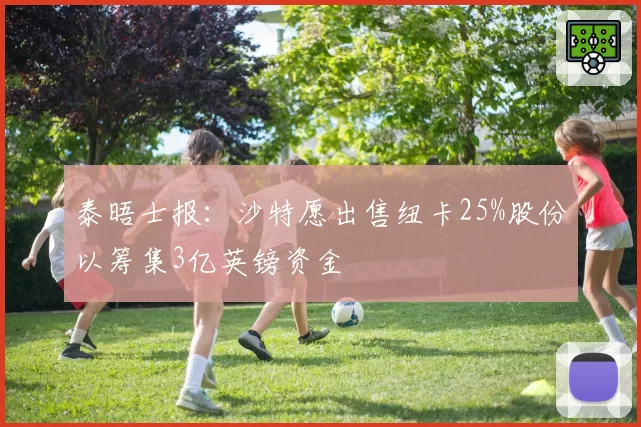 泰晤士报：沙特愿出售纽卡25%股份以筹集3亿英镑资金